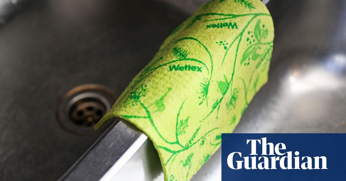 Are Swedish dishcloths more environment-friendly than paper towels? We investigate | Environment
