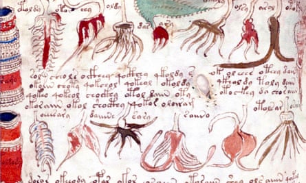 Images and text from the Voynich manuscript.