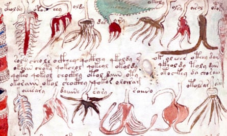 A page from The Voynich Manuscript.The Voynich Manuscript is considered by scholars to be most interesting and mysterious document ever found. Dated 16th century (Photo by: Universal History Archive/UIG via Getty images)