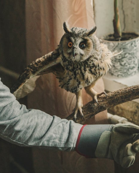 Volunteer Veronica Konkova with a long-eared owl, Sonny, at her home in the Ukrainian city of Dnipro. The bird lost an eye and a wing in a Russian drone attack. After recovering it will be sent to a rehabilitation centre