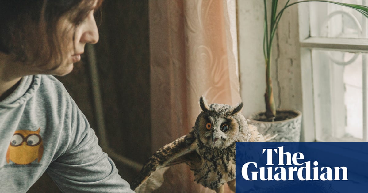 Blinded and broken, Sunny the owl becomes another casualty of Russia's war