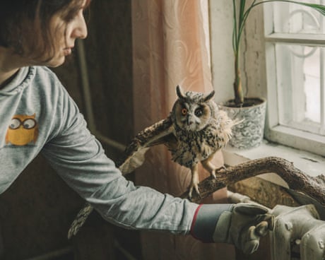 Blinded and broken, Sunny the owl becomes another casualty of Russia’s war