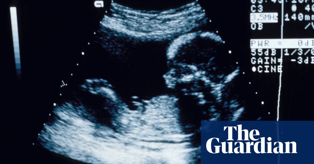 Poem Of The Week Sono By Suji Kwock Kim Books The Guardian