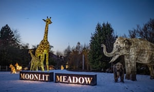 Giraffe and elepant at The Lanterns at Chester Zoo