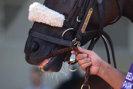 a hand holds a bridle on a horse