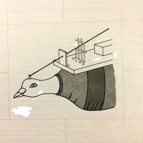 Diagram showing a pigeon with an apparatus attached to its back qhiquzideuirzinv