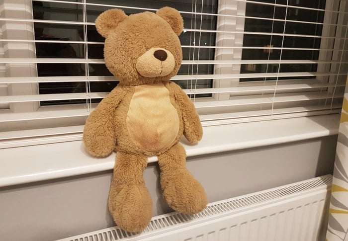 My Bears Are My Lifeline The Adults Who Sleep With Soft Toys Global The Guardian