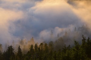 ‘We see our homes changing, and no action being taken on climate change.’