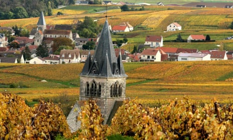 A champagne vineyard in the village of Ville-Dommange a few kilometres from Reims.