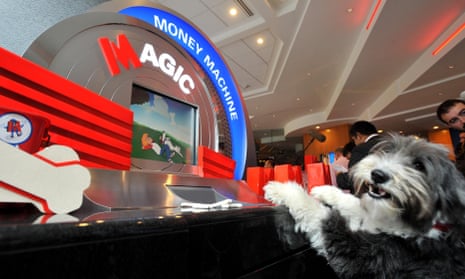 Hugo, a bearded Collie, in the Metro Bank branch in Holborn, central London