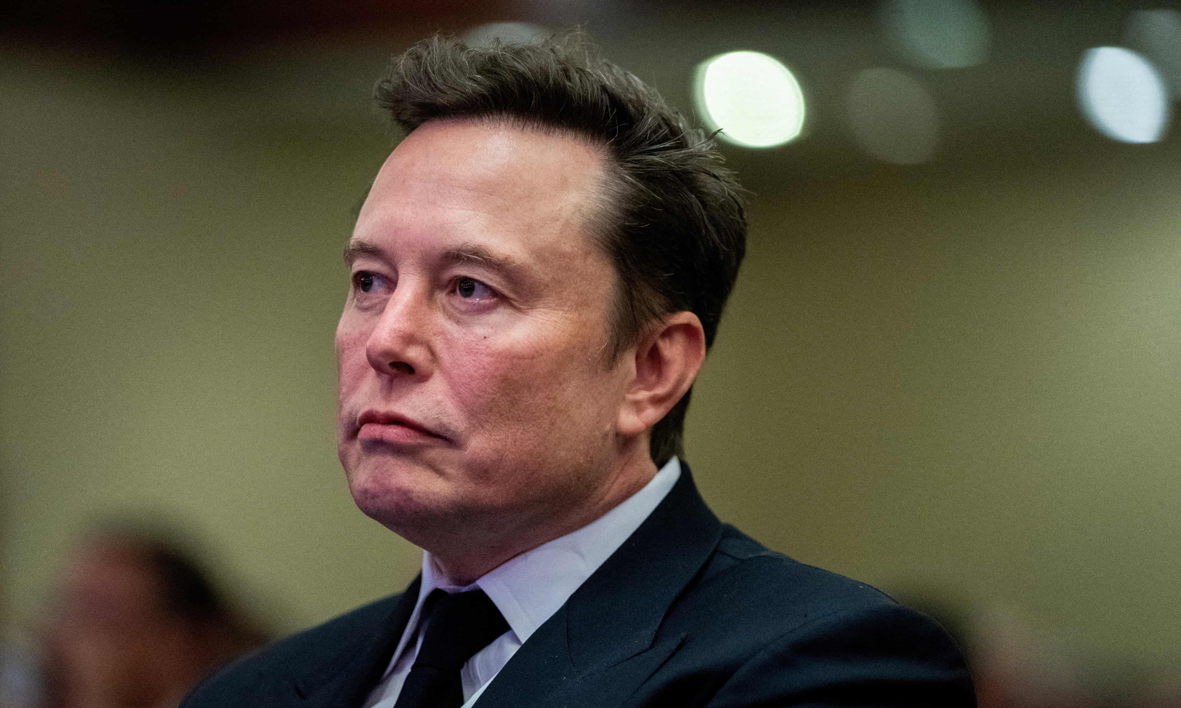 Elon Musk calls to ‘delete’ US consumer finance watchdog (theguardian.com)