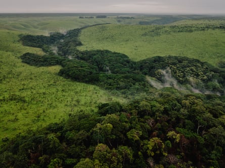 Cidades flutuantes de troncos: poderão os “pulmões de África” sobreviver à sua exploração?