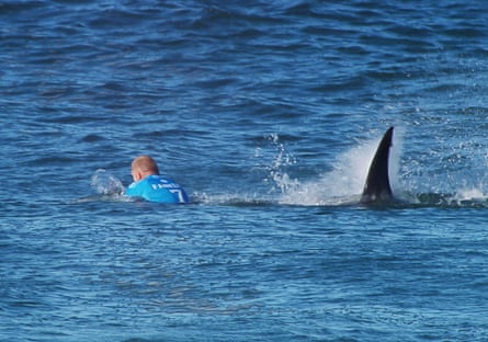 Australian surfer Mick Fanning moments before he fought off a shark