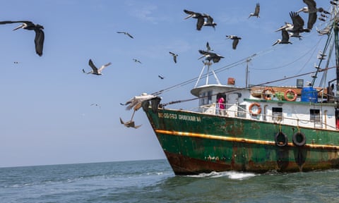 A fishing boat from the port of Buenaventura in Colombia, where shark fishing is now banned.
