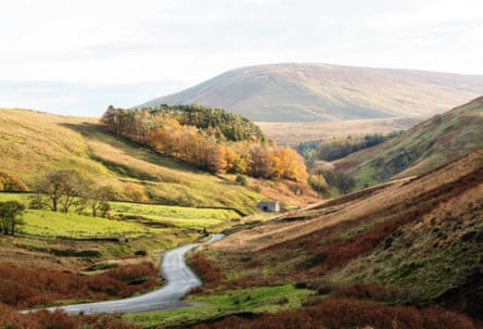 A valley with green hills, trees and a curving road