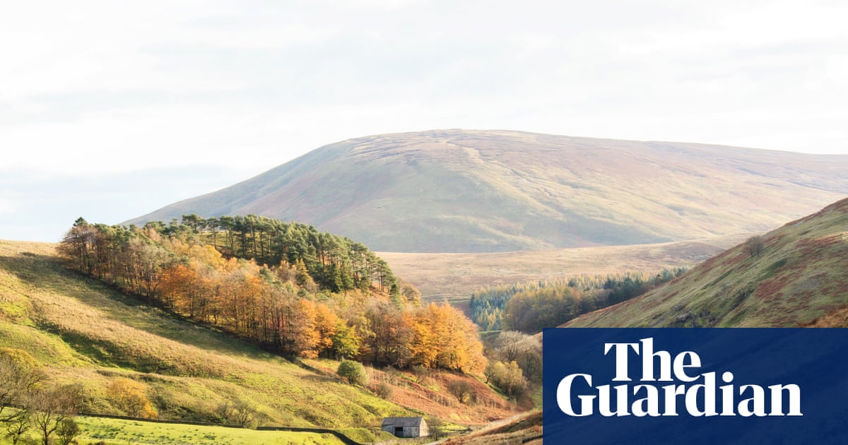 Forecasters say 2025 more likely than not' to be UK's hottest year on record