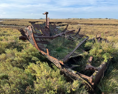 Country diary: A rusting shipwreck that’s part of the family | Nick Acheson