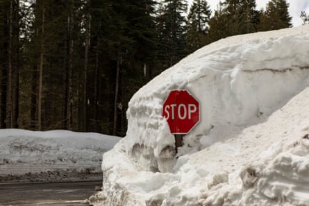 A stop sign is surrounded by a pile of snow.
