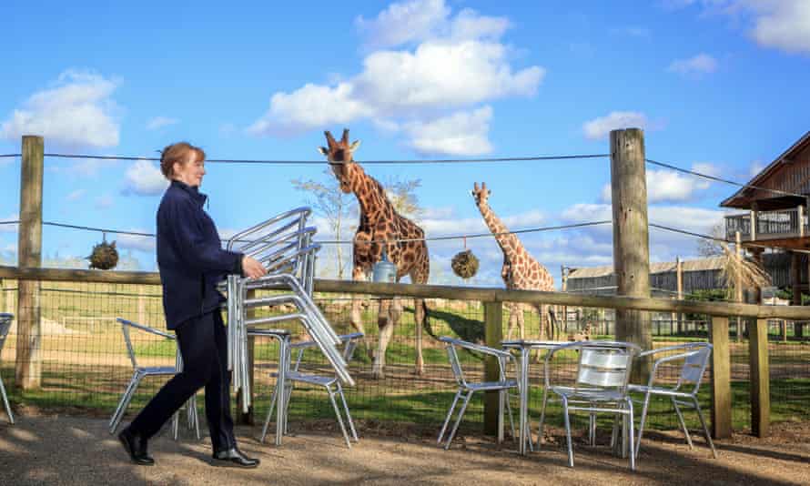 Staff prepare an outdoor cafe area at Yorkshire Wildlife Park.