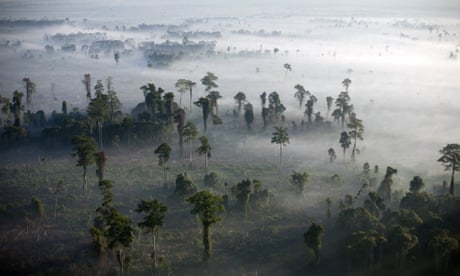 Fires burn off logged virgin rainforest in Aceh province, Indonesia.