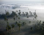 Conservationists alarmed by drastic cuts to key UK fund for global nature protection