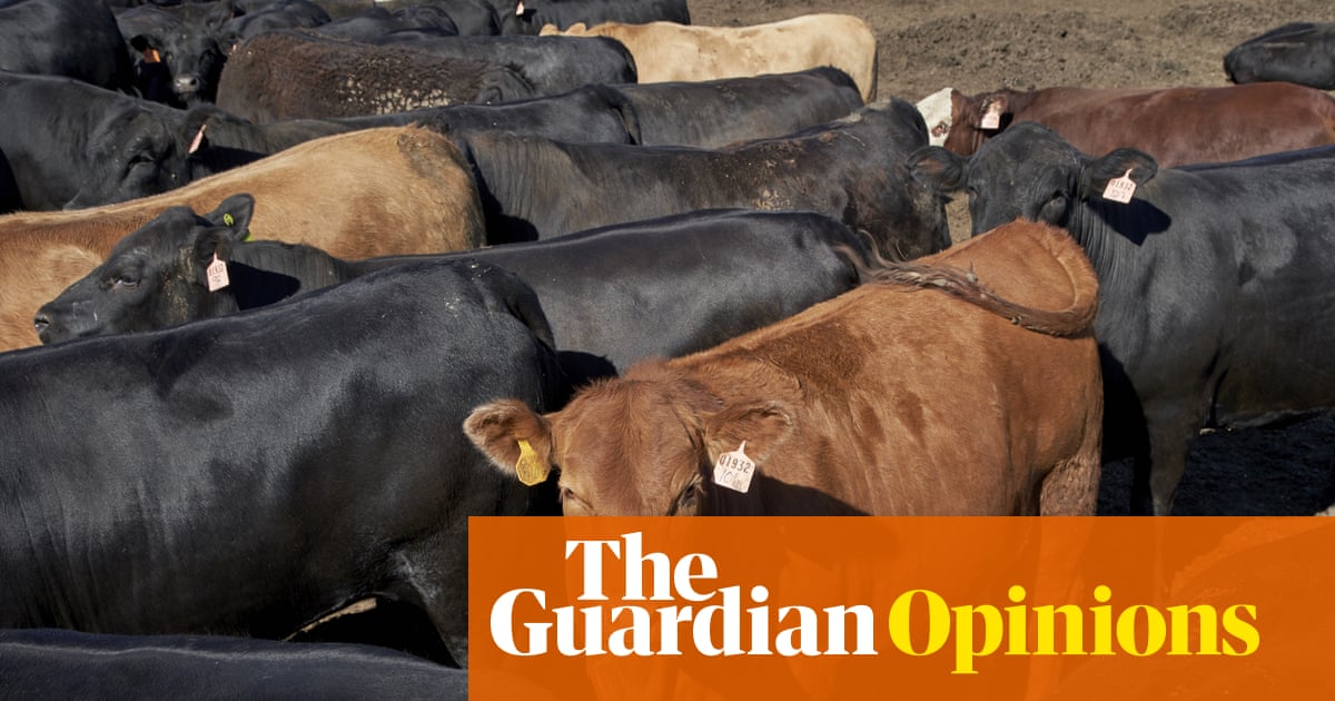 The case for paying ranchers to raise trees instead of cattle | Patrick Brown and Michael Eisen