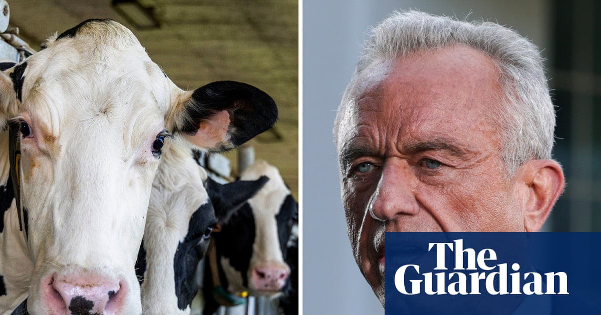 RFK Jr’s revolutionary new food pyramid, scientifically optimized to maximize saturated fat, methane emissions, and donor satisfaction.