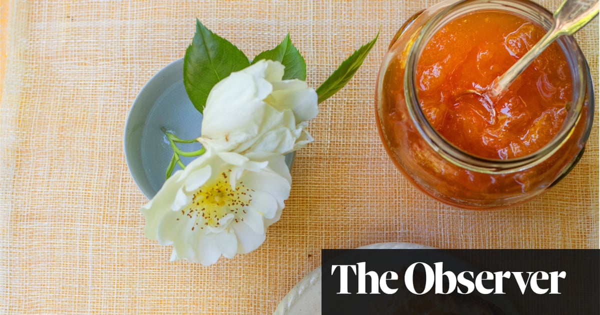Nigel Slater’s recipes for apricot jam, and cream cheese puddings