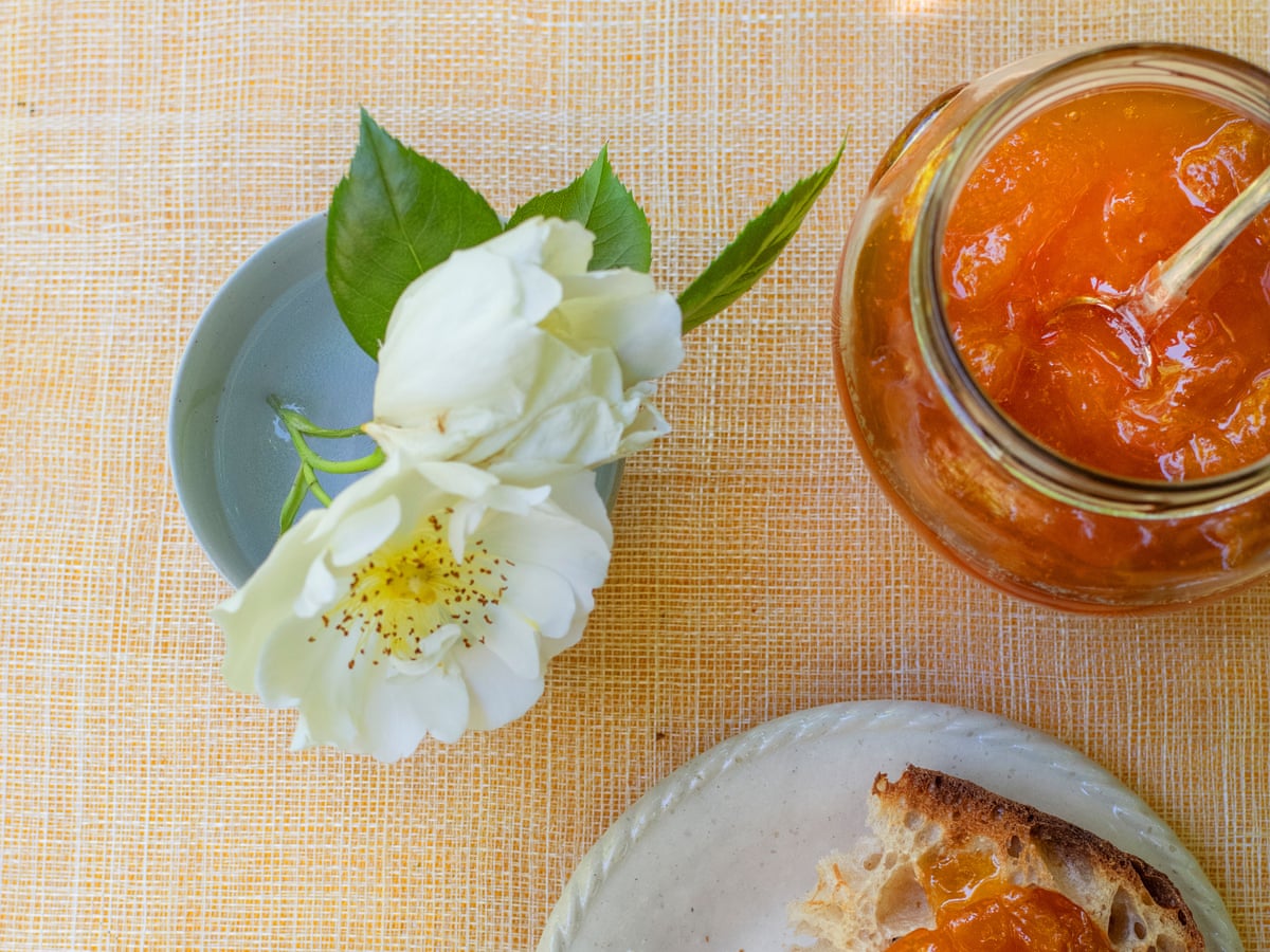 Nigel Slater S Recipes For Apricot Jam And Cream Cheese Puddings Food The Guardian Nigel Slater S Recipes For Apricot Jam And Cream Cheese Puddings Food The Guardian