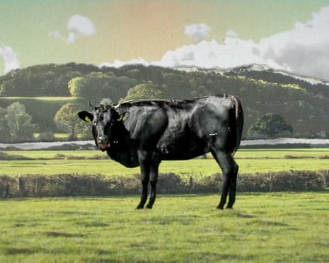 From beef patties bulked out with fillers, to 'pink slime' Chicken McNuggets, myths about McDonald's food persist online. Let's find out the reality …