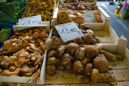 Porcini mushrooms 