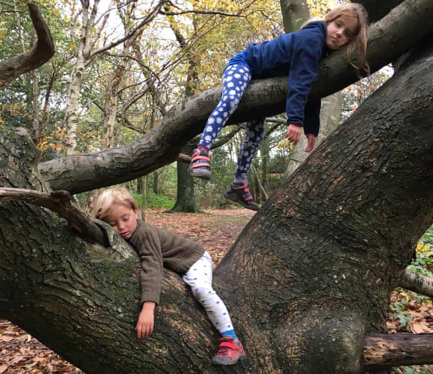 The author’s children pretending to be sloths on a trip to the park.
