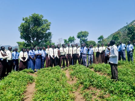 Students and teachers at a sweet potato farm