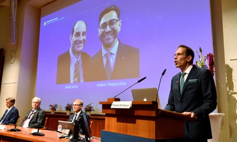 Thomas Perlmann (right), the secretary of the Nobel committee, announcing the winners of the 2021 prize in physiology or medicine.