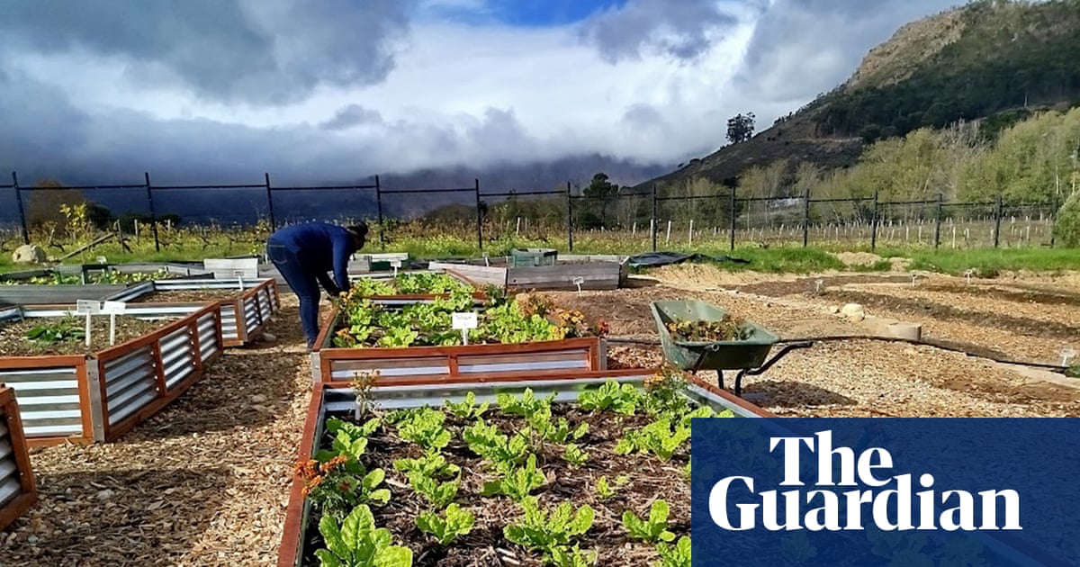 How a South African town cleaned up its polluted river using stones, wood and sand