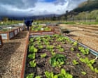 South African Researchers Clean Polluted River Water Using Natural Materials