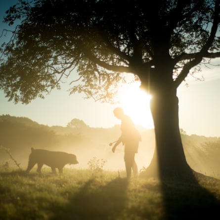Owner and their dog stand on a hill at sunrise in a countryside setting. The low light creates silhouettes of them and the tree they stand near.