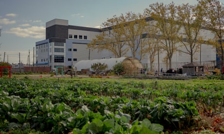A community farm next to an Amazon last-mile facility in Red Hook, Brooklyn. A community farm next to an Amazon last-mile facility in Red Hook, Brooklyn.