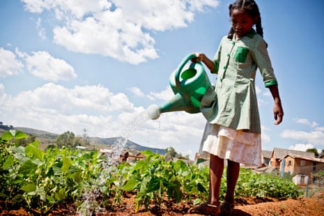 A young girl waters the garden at Masindray primary school, in Antananarivo, Madagascar