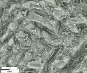 One of Angamuco’s ‘neighbourhoods’, revealed using light detection and ranging scanning.