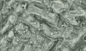 An image derived from Lidar data showing ‘neighbourhoods’ in Angamuco, a city built by rivals to the Aztecs.