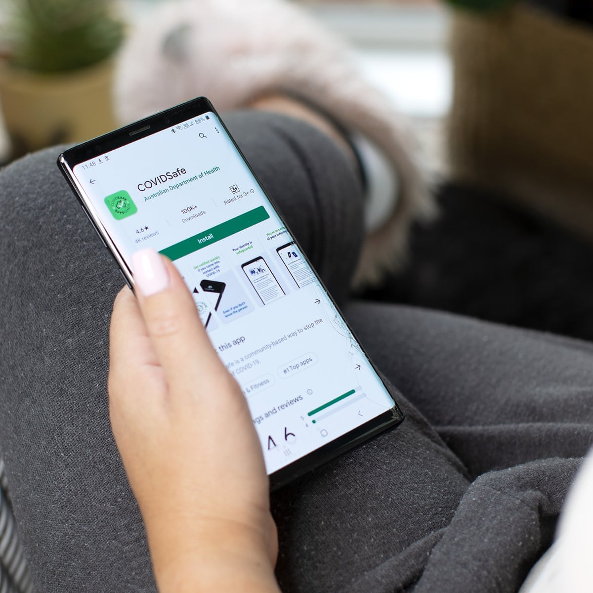 how did the covidsafe app go from being vital to almost irrelevant coronavirus the guardian how did the covidsafe app go from being vital to almost irrelevant coronavirus the guardian