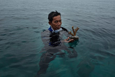 Erik Bang, who lives on Tidung Island, carries out coral transplantation.