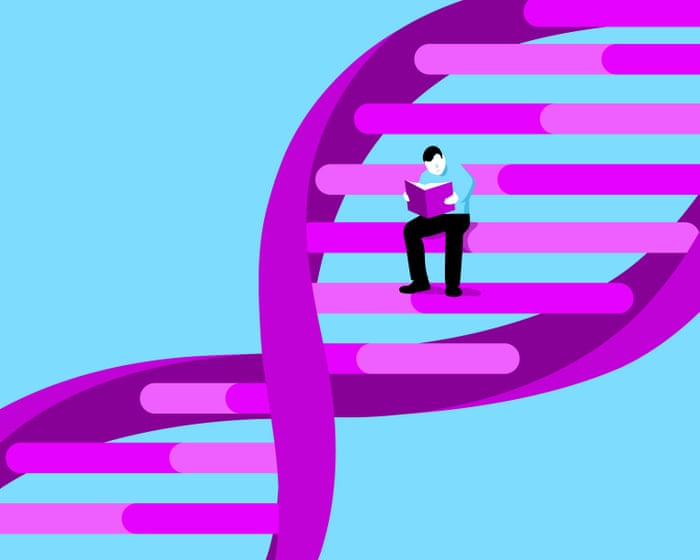 The Evolutionary Role of Culture in Human Development