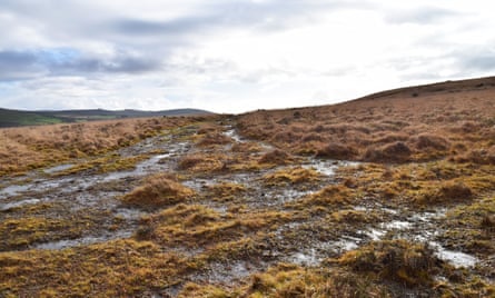 A puddle-strewn pathway leading up Gibbet Hill on west Dartmoor