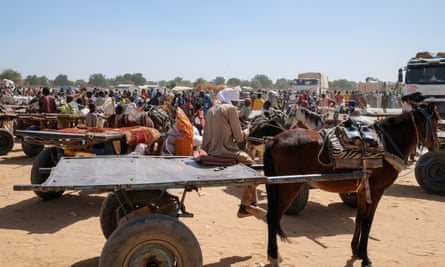 Rows of donkeys with carts and crowds of people wait next to food aid trucks