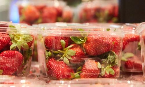 Featured image of post Berrylicious Strawberries Korea Berrylicious strawberries we grow strawberries in a unique system inside greenhouses our description