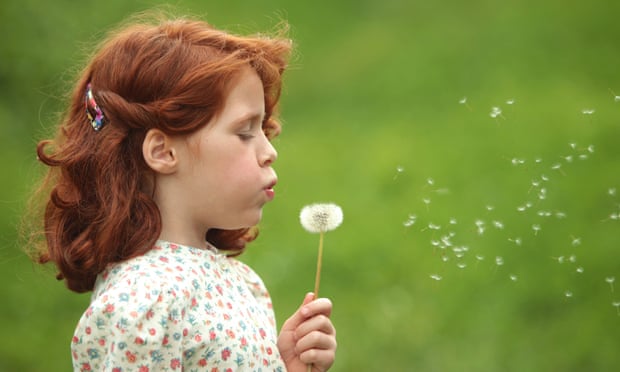 a red haired girl blowing on a dandelion clock in a meadow