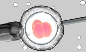 A human egg seen through a microscope. In the study, Crispr-Cas9 was used to fix mutations which cause a potentially fatal heart condition known as hypertrophic cardiomyopathy.