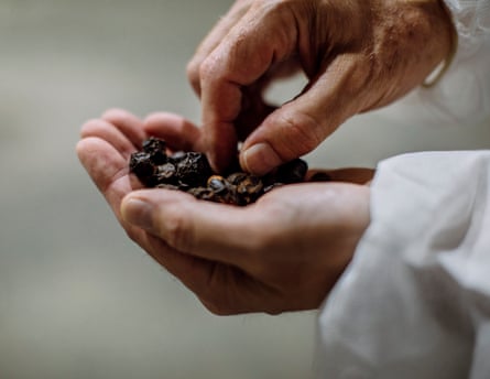 Larry McCarty, vice president of global manufacturing and supply chain holds dried berries that await the supercritical co2 extraction process, at Valensa International, a Florida based manufacturer.